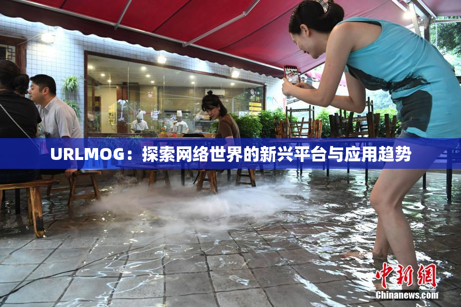 URLMOG：探索网络世界的新兴平台与应用趋势