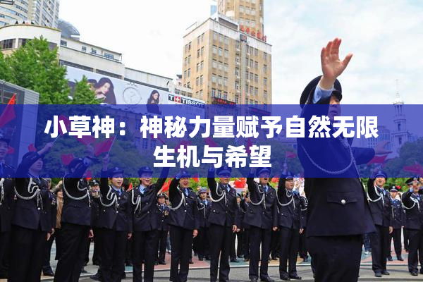 小草神：神秘力量赋予自然无限生机与希望