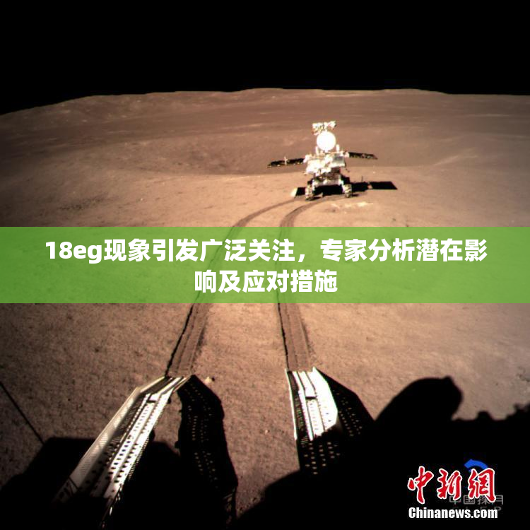 18eg现象引发广泛关注，专家分析潜在影响及应对措施