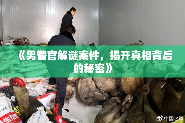 《男警官解谜案件，揭开真相背后的秘密》