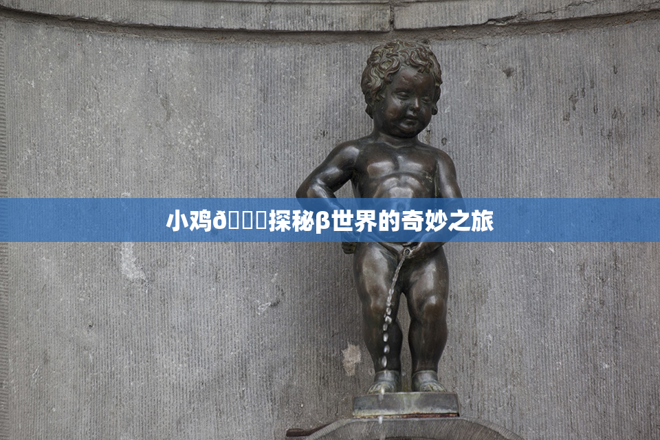 小鸡🐔探秘β世界的奇妙之旅