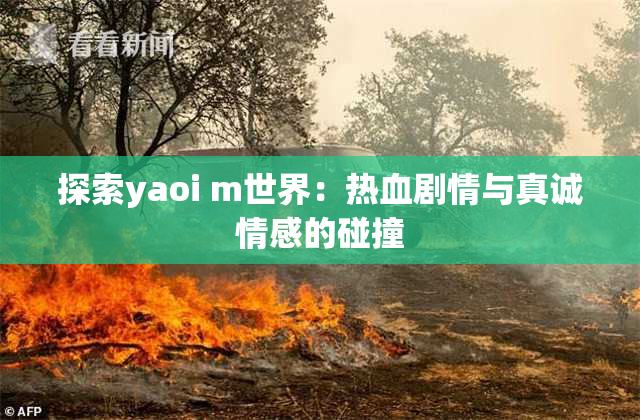 探索yaoi m世界：热血剧情与真诚情感的碰撞