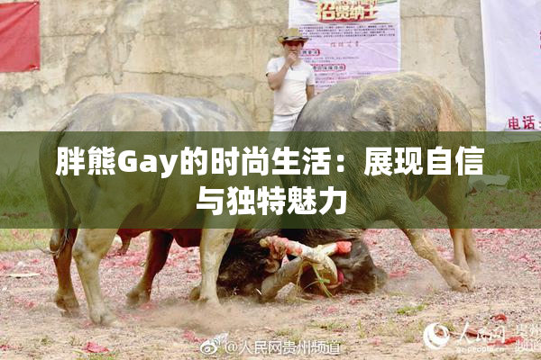 胖熊Gay的时尚生活：展现自信与独特魅力