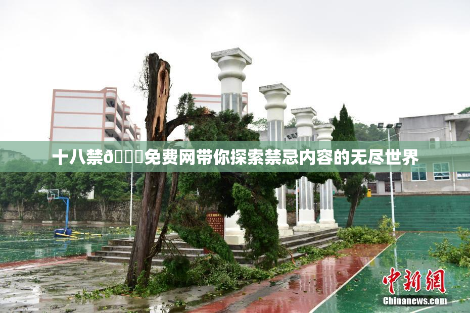 十八禁🔞免费网带你探索禁忌内容的无尽世界