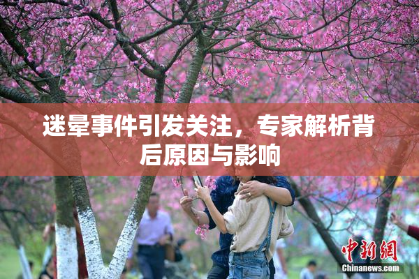 迷晕事件引发关注，专家解析背后原因与影响