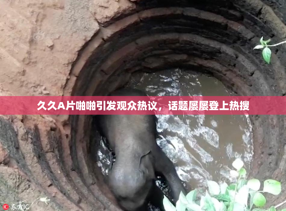 久久A片啪啪引发观众热议，话题屡屡登上热搜