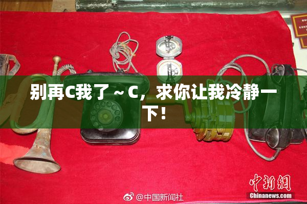 别再C我了～C，求你让我冷静一下！