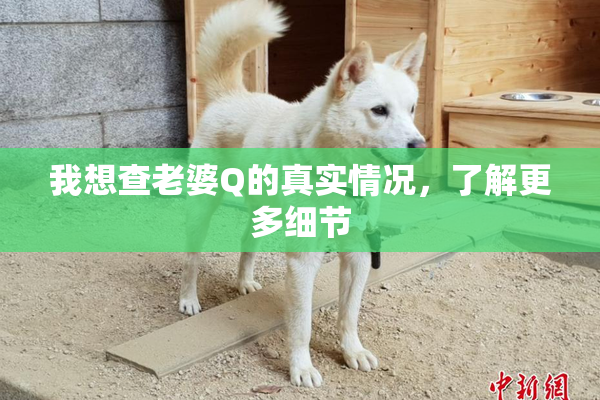 我想查老婆Q的真实情况，了解更多细节