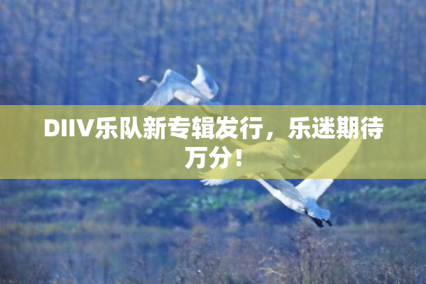 DIIV乐队新专辑发行，乐迷期待万分！