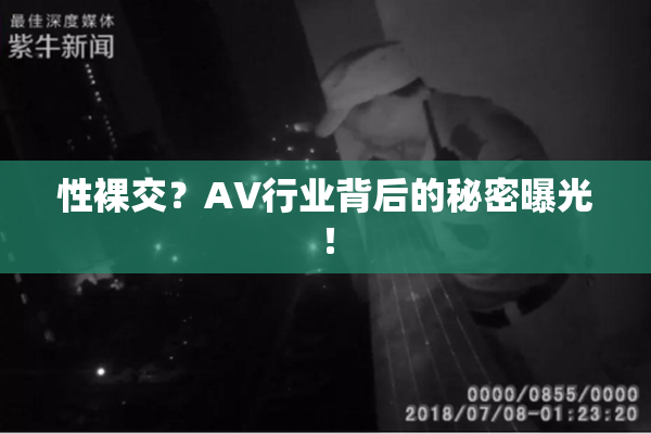 性裸交？AV行业背后的秘密曝光！
