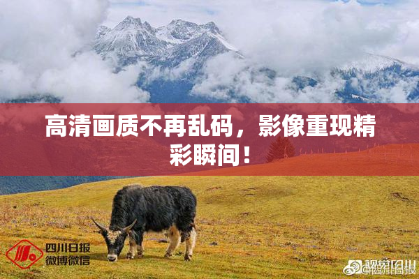 高清画质不再乱码，影像重现精彩瞬间！