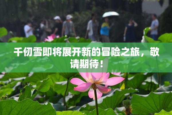 千仞雪即将展开新的冒险之旅，敬请期待！
