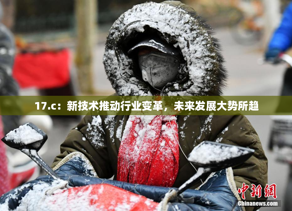 17.c：新技术推动行业变革，未来发展大势所趋