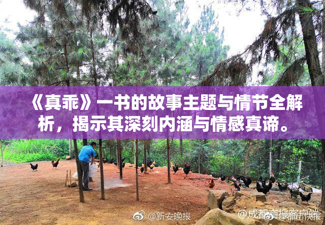 《真乖》一书的故事主题与情节全解析，揭示其深刻内涵与情感真谛。
