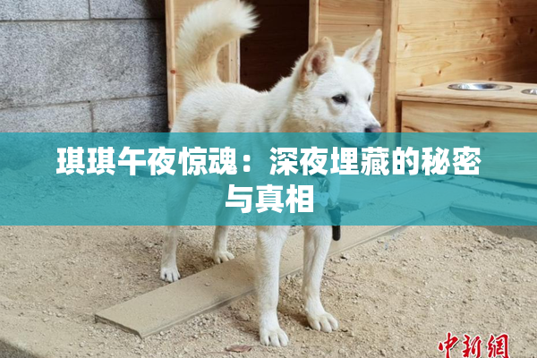 琪琪午夜惊魂：深夜埋藏的秘密与真相