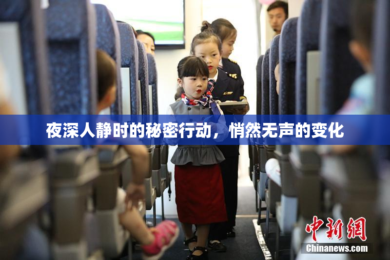 夜深人静时的秘密行动，悄然无声的变化