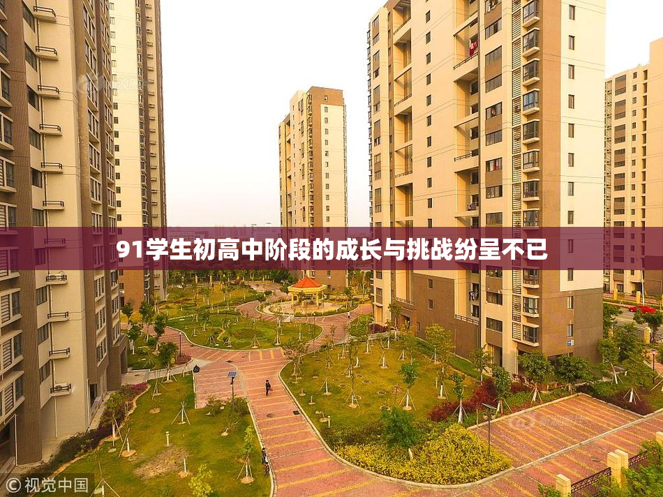 91学生初高中阶段的成长与挑战纷呈不已