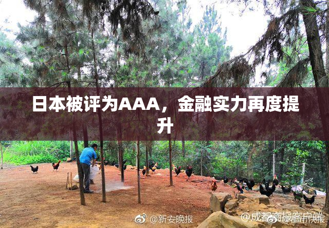 日本被评为AAA，金融实力再度提升