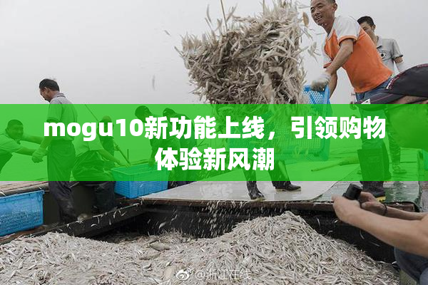 mogu10新功能上线，引领购物体验新风潮
