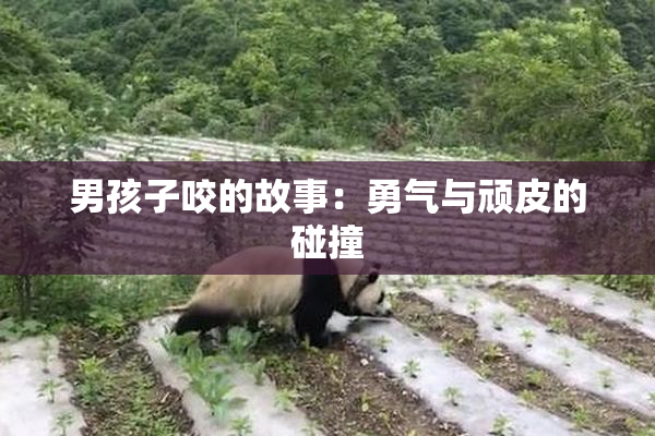 男孩子咬的故事：勇气与顽皮的碰撞