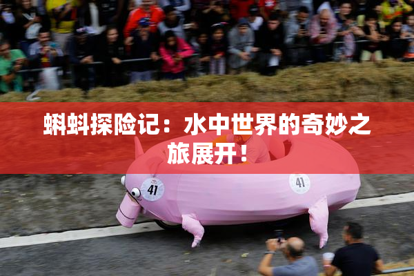 蝌蚪探险记：水中世界的奇妙之旅展开！