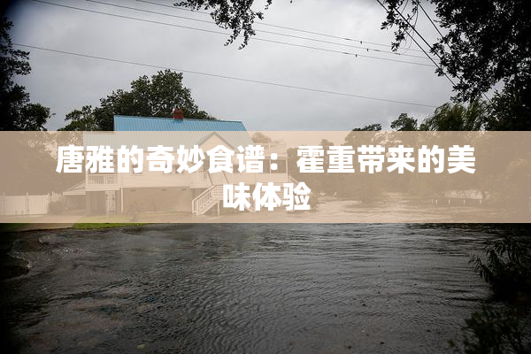 唐雅的奇妙食谱：霍重带来的美味体验