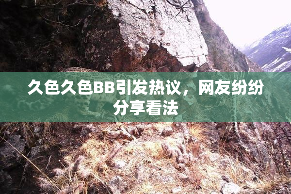 久色久色BB引发热议，网友纷纷分享看法
