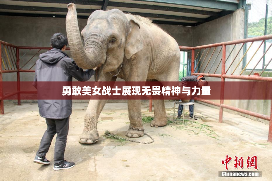 勇敢美女战士展现无畏精神与力量