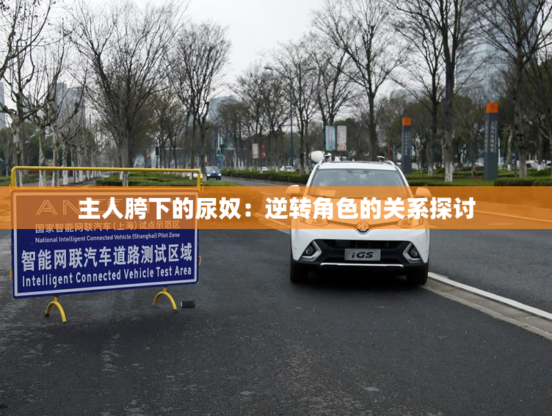 主人胯下的尿奴：逆转角色的关系探讨