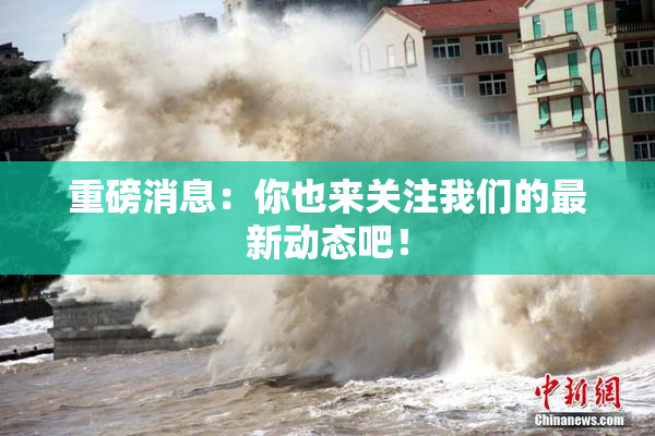 重磅消息：你也来关注我们的最新动态吧！