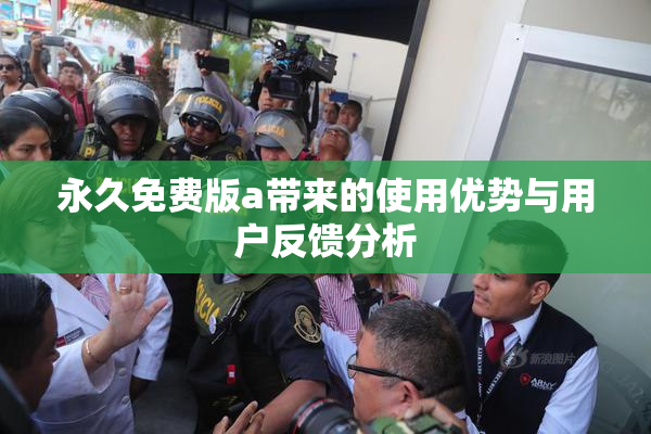 永久免费版a带来的使用优势与用户反馈分析