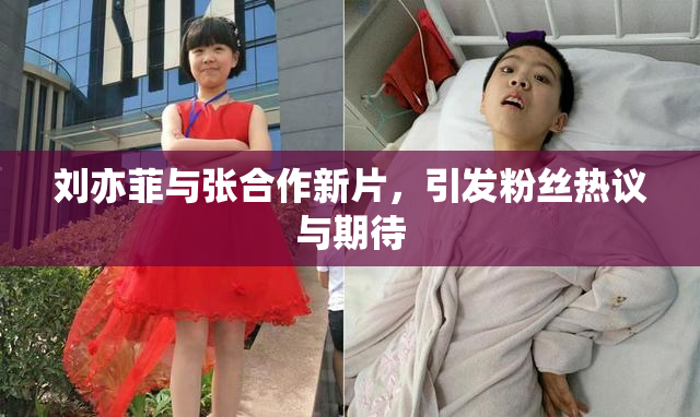 刘亦菲与张合作新片，引发粉丝热议与期待