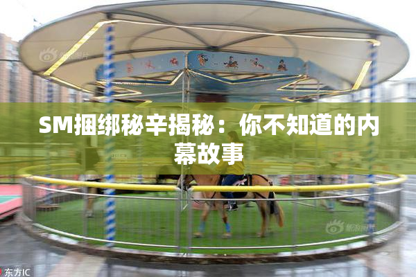 SM捆绑秘辛揭秘：你不知道的内幕故事