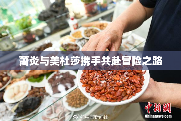 萧炎与美杜莎携手共赴冒险之路