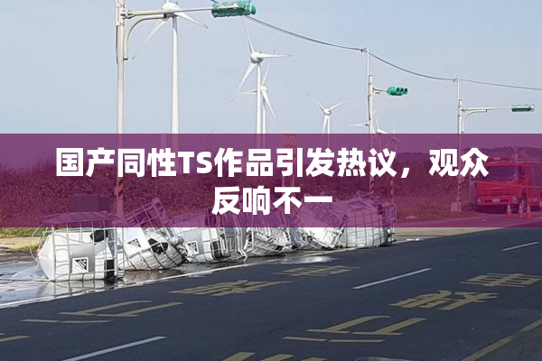 国产同性TS作品引发热议，观众反响不一
