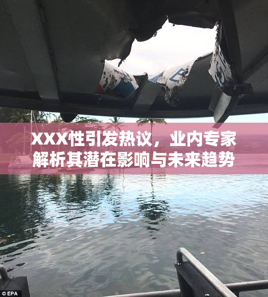 XXX性引发热议，业内专家解析其潜在影响与未来趋势