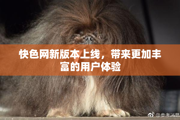 快色网新版本上线，带来更加丰富的用户体验