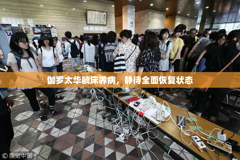 伽罗太华躺床养病，静待全面恢复状态