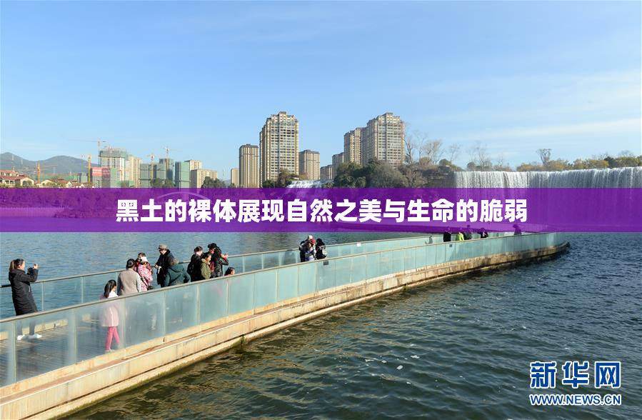 黑土的裸体展现自然之美与生命的脆弱