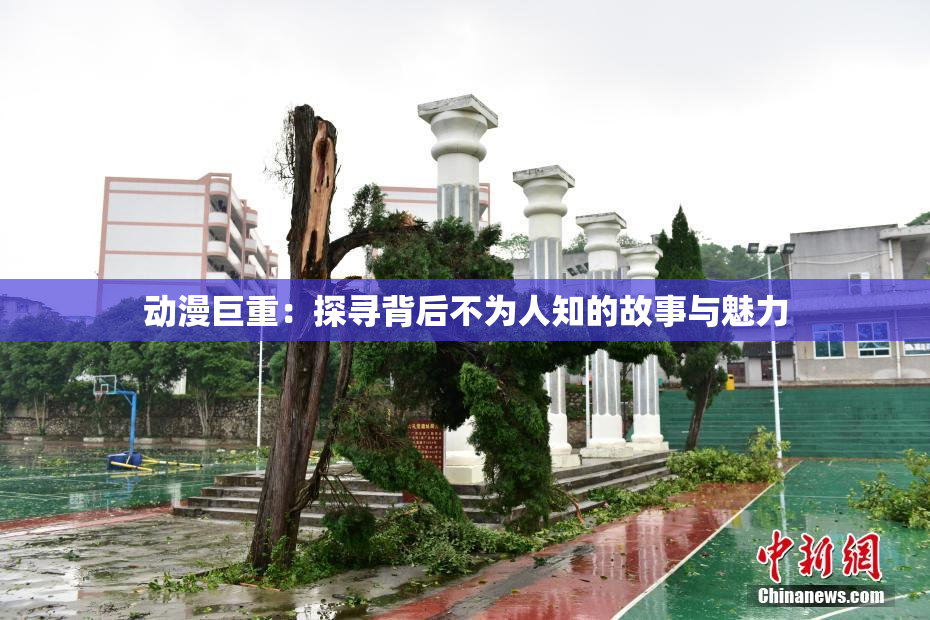 动漫巨重：探寻背后不为人知的故事与魅力