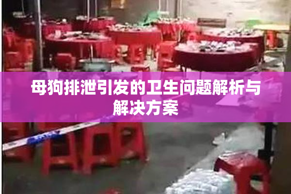 母狗排泄引发的卫生问题解析与解决方案
