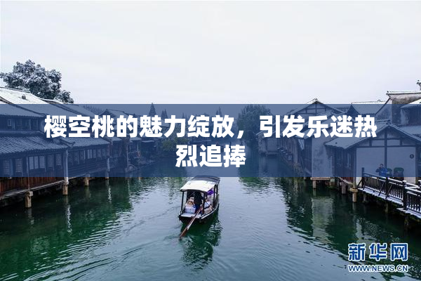 樱空桃的魅力绽放，引发乐迷热烈追捧