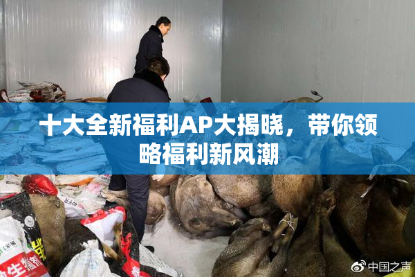 十大全新福利AP大揭晓，带你领略福利新风潮