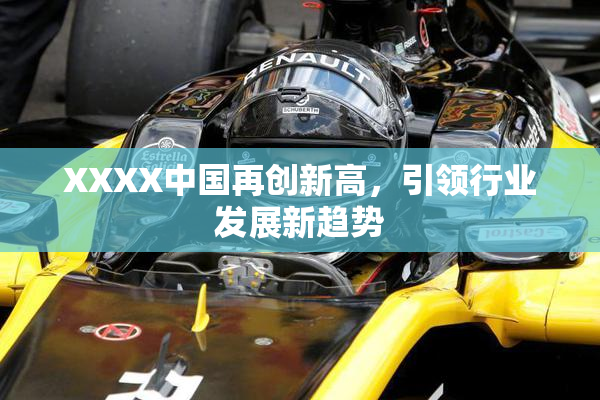 XXXX中国再创新高，引领行业发展新趋势