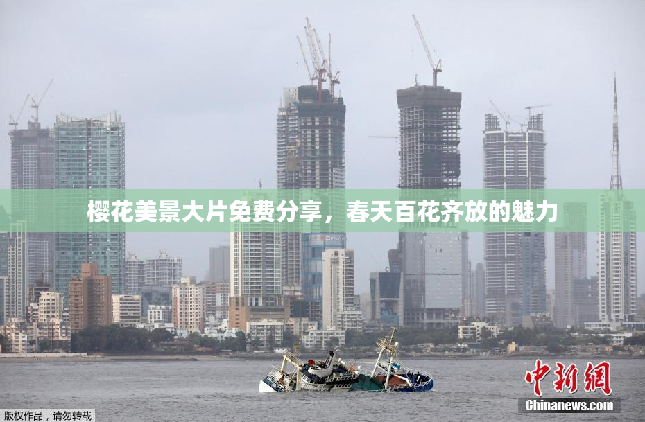 樱花美景大片免费分享，春天百花齐放的魅力