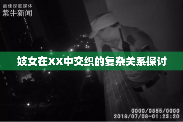 妓女在XX中交织的复杂关系探讨