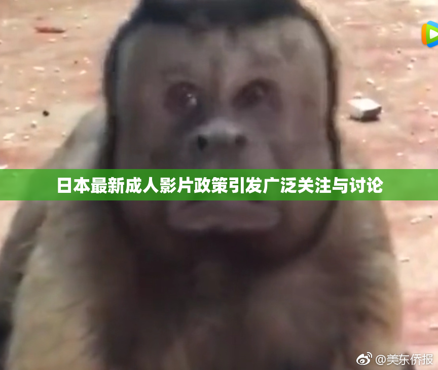 日本最新成人影片政策引发广泛关注与讨论