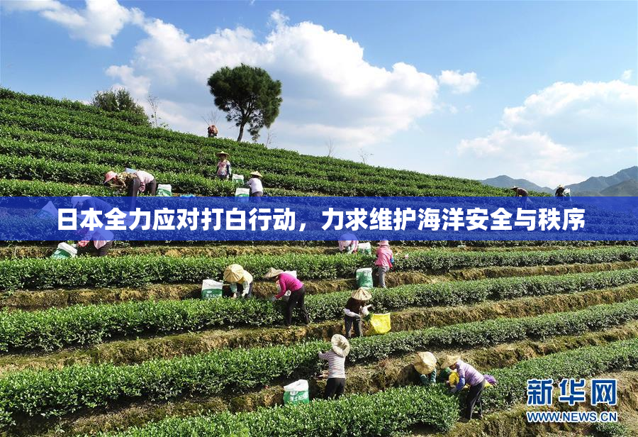 日本全力应对打白行动，力求维护海洋安全与秩序