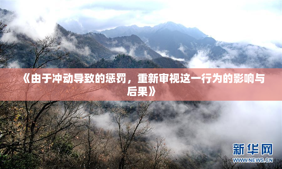 《由于冲动导致的惩罚，重新审视这一行为的影响与后果》