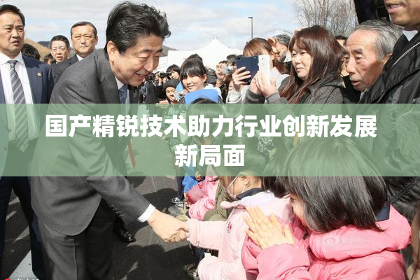国产精锐技术助力行业创新发展新局面